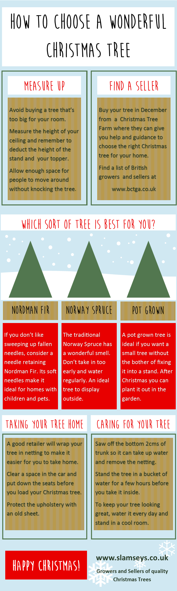 How to choose a wonderful Christmas Tree infographic