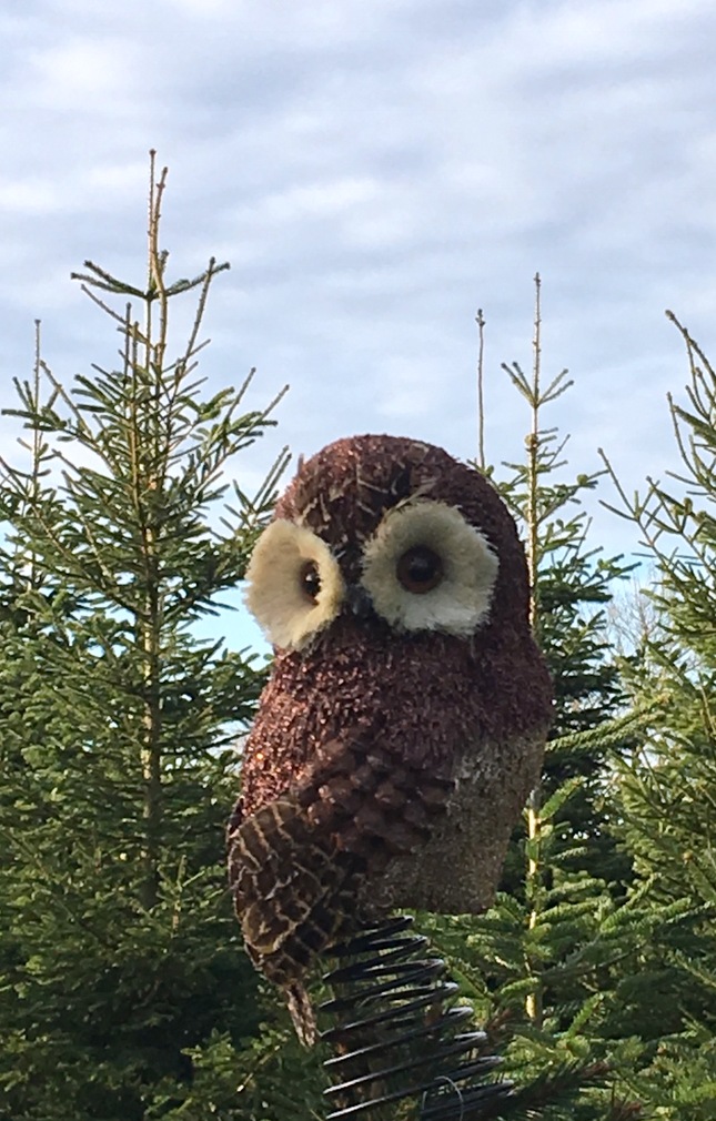 Owl Christmas tree topper