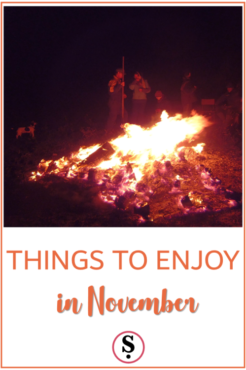 Things to enjoy in November bonfire party