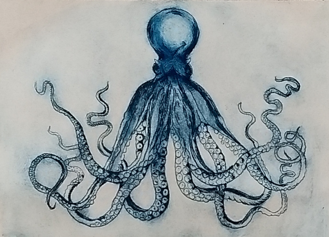 Student drypoint etching of octopus, Slamseys Printmaking